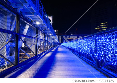 東京淺草之夜隅田川漫步 89045529