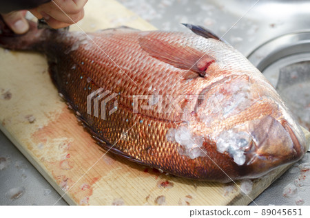 Fish scale removal 89045651