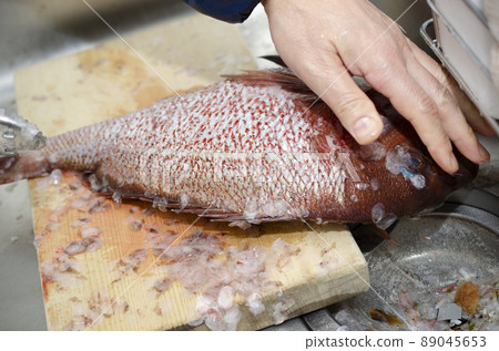 Fish scale removal Fish scale removal 89045653