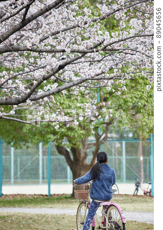 Elementary school children playing on a bicycle in a park in full bloom Elementary school children playing on a bicycle in a park in full bloom 89045656