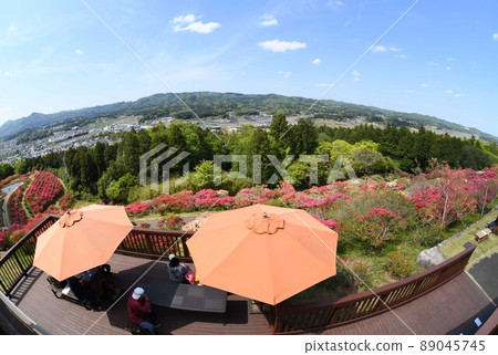 Azalea Park 89045745