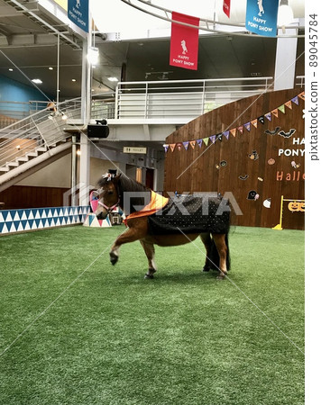 Happy pony show 89045784