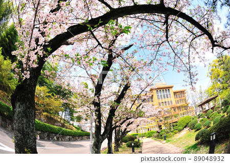 舊戰場上的小櫻 舊戰場上的小櫻 89048932