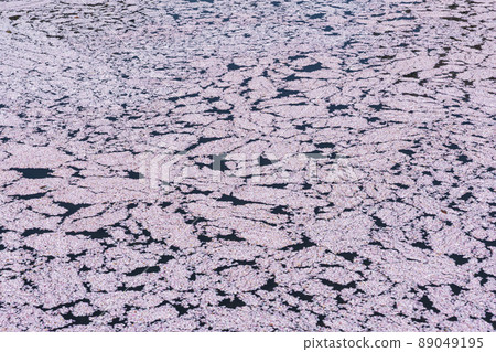 弘前城公園花卉館 弘前城公園花卉館 89049195