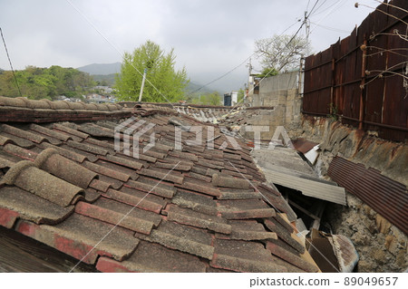 Ginkgo leaves. Alley. Spring flowers. Sprouts. Leaves. Jeongneung Valley Ginkgo leaves. Alley. Spring flowers. Sprouts. Leaves. Jeongneung Valley 89049657