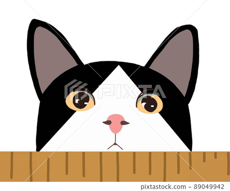 Manmaru Omeme's cute cat 4 89049942