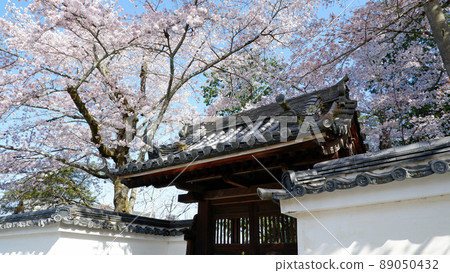 Beautiful cherry blossoms at Nanzenji Temple in Kyoto 89050432