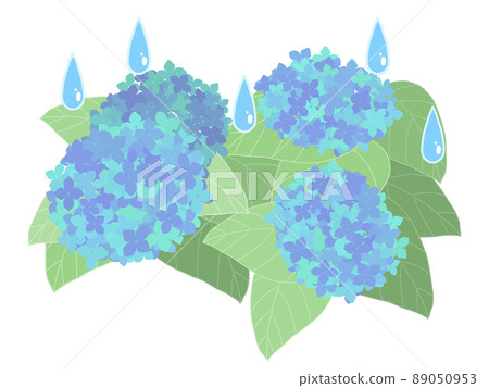 繡球花和雨滴的插圖 繡球花和雨滴的插圖 89050953