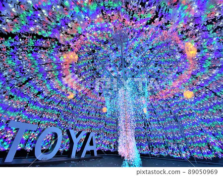 Illuminations of Toya 89050969
