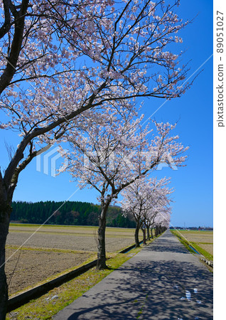 健康路櫻花路能美市 89051027