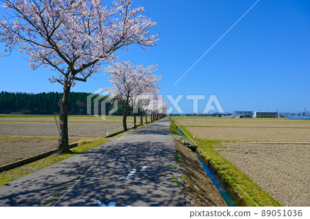 Health Road Sakura Road Nomi City 89051036