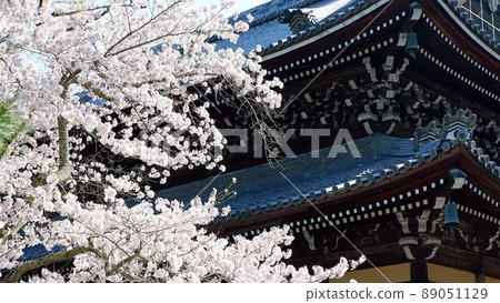 Beautiful cherry blossoms at Nanzenji Temple in Kyoto 89051129