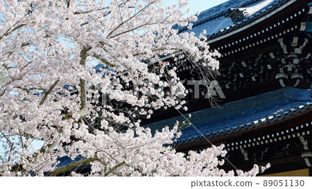 Beautiful cherry blossoms at Nanzenji Temple in Kyoto Beautiful cherry blossoms at Nanzenji Temple in Kyoto 89051130