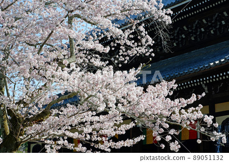 Beautiful cherry blossoms at Nanzenji Temple in Kyoto Beautiful cherry blossoms at Nanzenji Temple in Kyoto 89051132