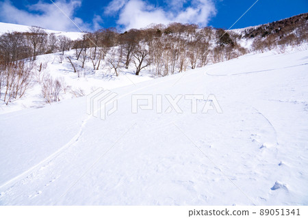 雪景（往平涼山的路） 89051341