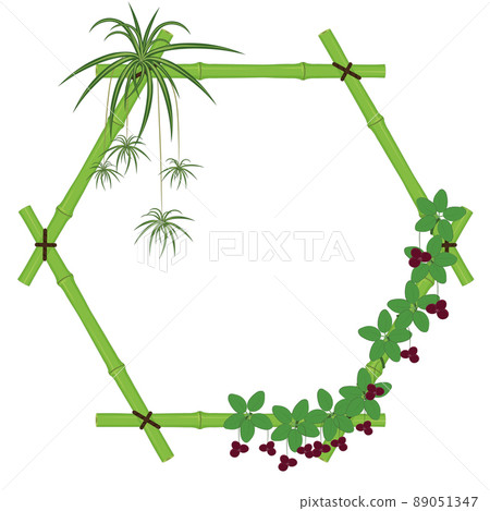 Hexagonal bamboo frame with spider plant and chocolate vines vector illustration 89051347