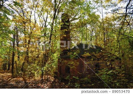 Lush green and old forests in Kharkiv National Park with high biodiversity, Ukraine. 89053470