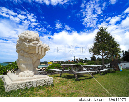 Shisa Shisa 89054075