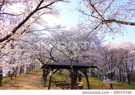 工保山墓 89054386