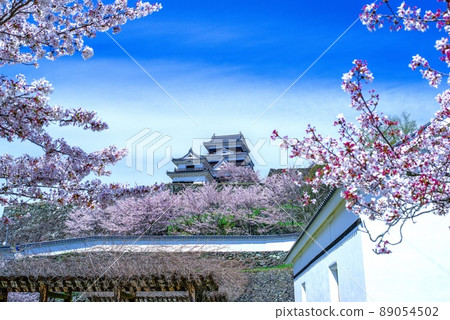 Ozu Castle Sakura Ozu Castle Sakura 89054502