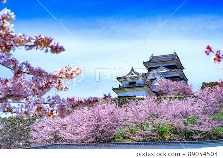 Ozu Castle Sakura Ozu Castle Sakura 89054503