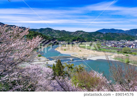 小津城櫻花 小津城櫻花 89054576