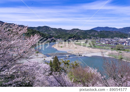 小津城櫻花 小津城櫻花 89054577