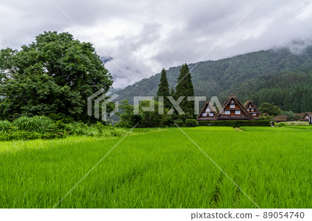 初夏的世界遺產,白川村的田園風光 初夏的世界遺產,白川村的田園風光 89054740