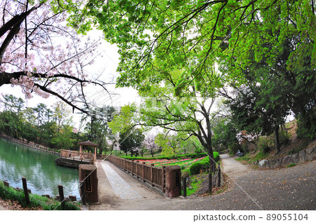 Misaki Waterside Park 89055104