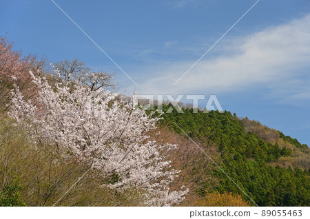 Spring mountain "Matsuda Town" 89055463
