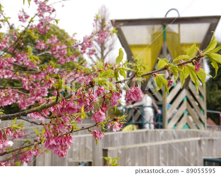 Spring Kotta Kaidori Fureai Square Spring Kotta Kaidori Fureai Square 89055595