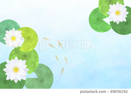 睡蓮和青香 睡蓮和青香 89056292