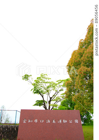 愛知縣日清市風景愛知縣立Korogi運動公園 89056456