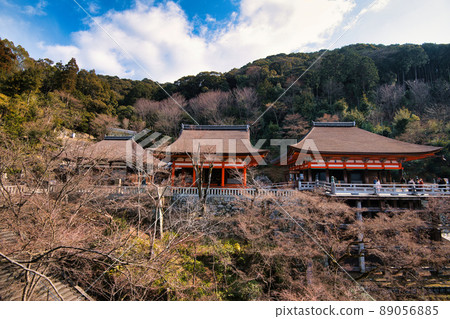 Kiyomizu Temple February 2022 89056885