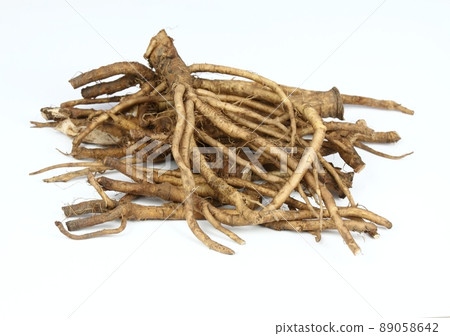 Fresh dandelion roots, lat.Taraxacum officinale on white. 89058642