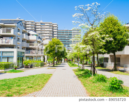 Quiet residential area, fresh green living road 89058720