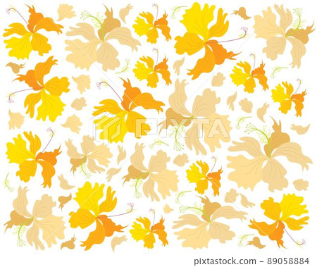 Fresh Yellow Hibiscus Flowers Background Fresh Yellow Hibiscus Flowers Background 89058884