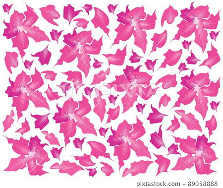 Pink Desert Rose Flowers or Bignonia Flowers Background 89058888
