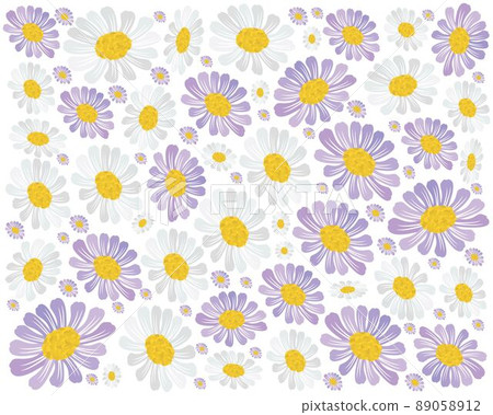 Fresh Purple and White Daisy Blossoms Background 89058912