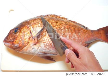 砧板上的鮮紅鯛魚 89059653