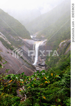 Kagoshima Yakushima Senpiro Falls Kagoshima Yakushima Senpiro Falls 89059658