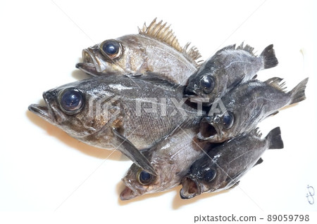 新鮮捕獲的石魚排在廚房的砧板上 89059798