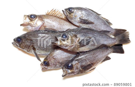 新鮮捕獲的石魚排在廚房的砧板上 新鮮捕獲的石魚排在廚房的砧板上 89059801