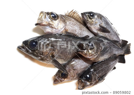 新鮮捕獲的石魚排在廚房的砧板上 新鮮捕獲的石魚排在廚房的砧板上 89059802