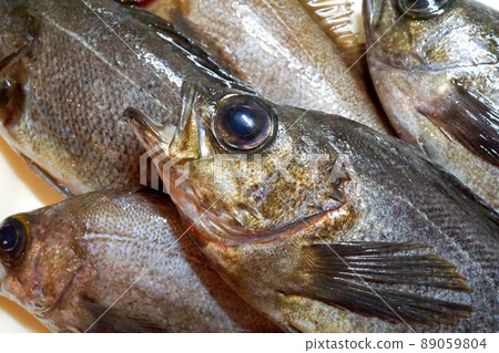 新鮮捕獲的石魚排在廚房的砧板上 新鮮捕獲的石魚排在廚房的砧板上 89059804