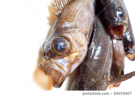 新鮮捕獲的石魚排在廚房的砧板上 新鮮捕獲的石魚排在廚房的砧板上 89059807