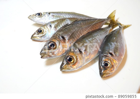 老化捕獲的新鮮竹莢魚@瀨戶內海 老化捕獲的新鮮竹莢魚@瀨戶內海 89059855