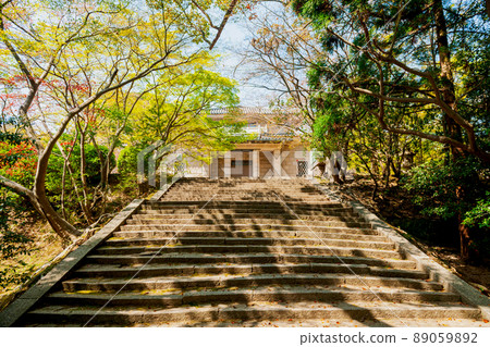 前長門善上堂 89059892