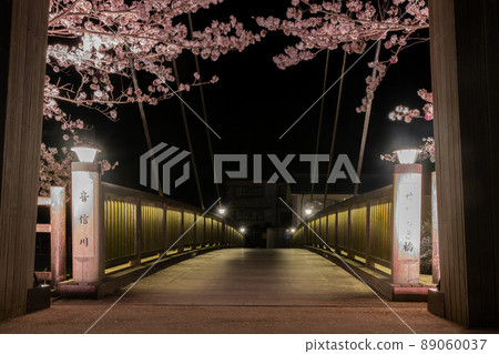 長門湯本溫泉在春天的傍晚有美麗的櫻花 長門湯本溫泉在春天的傍晚有美麗的櫻花 89060037