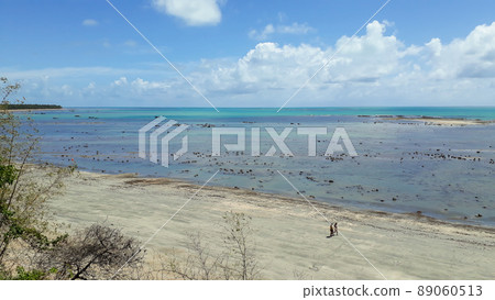 natural sea pools of the coral reefs barrier in Maragogi, Alagoas, Brazil 89060513